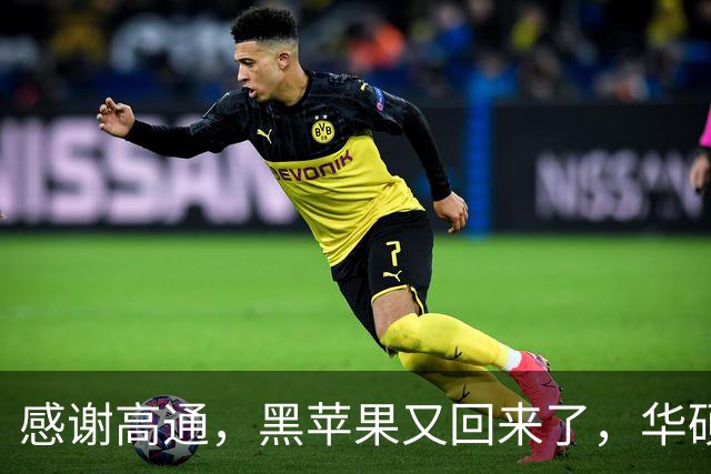 感谢高通，黑苹果又回来了，华硕笔记本成功运行macOS