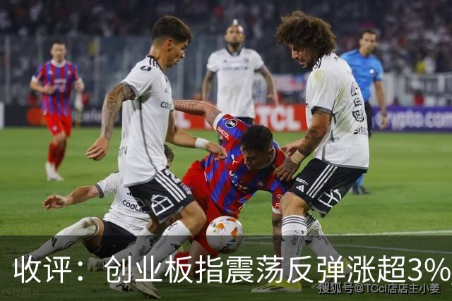 收评：创业板指震荡反弹涨超3% 全市场超4100只个股上涨