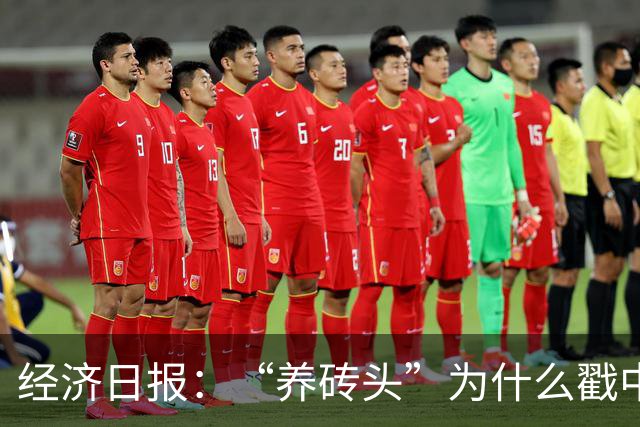 经济日报：“养砖头”为什么戳中年轻人？