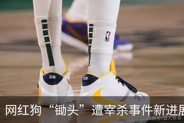 网红狗“锄头”遭宰杀事件新进展：其主人已收到30万元和解费，计划将全部捐给宠物救助机构