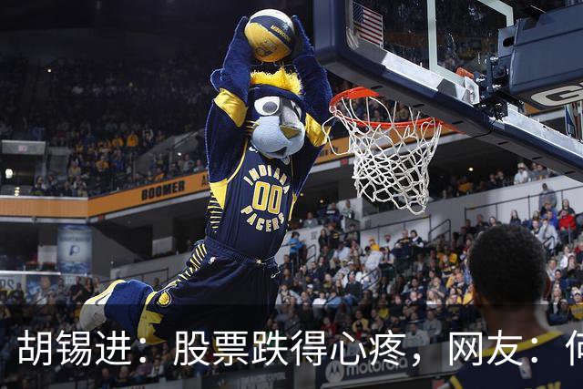 胡锡进：股票跌得心疼，网友：何止心疼，完全是肉疼