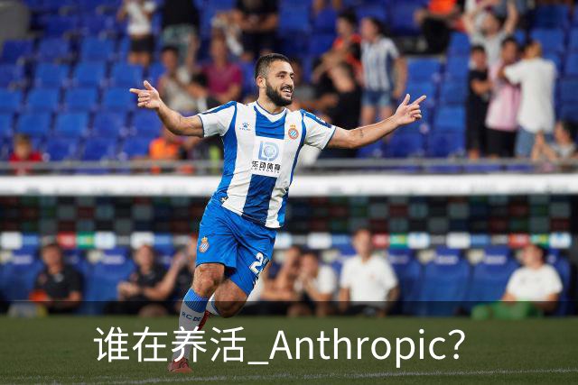 谁在养活 Anthropic？