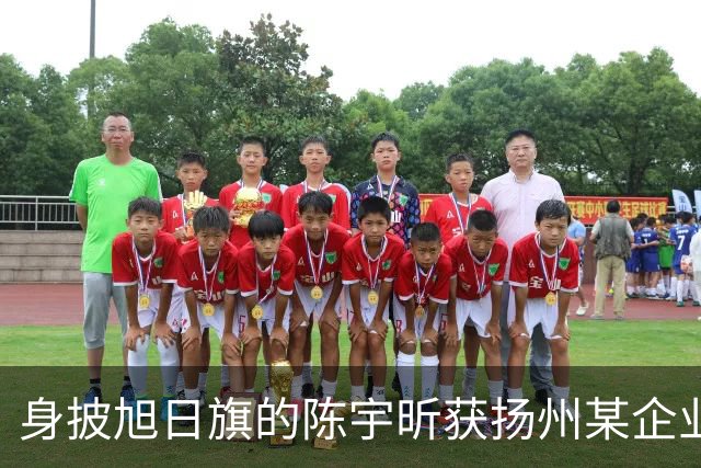 身披旭日旗的陈宇昕获扬州某企业支持，汤家凤发文怒批：必须严惩，露头就打