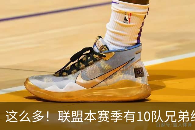 这么多！联盟本赛季有10队兄弟组合：阿门/奥萨尔+大小瓦兄弟领衔