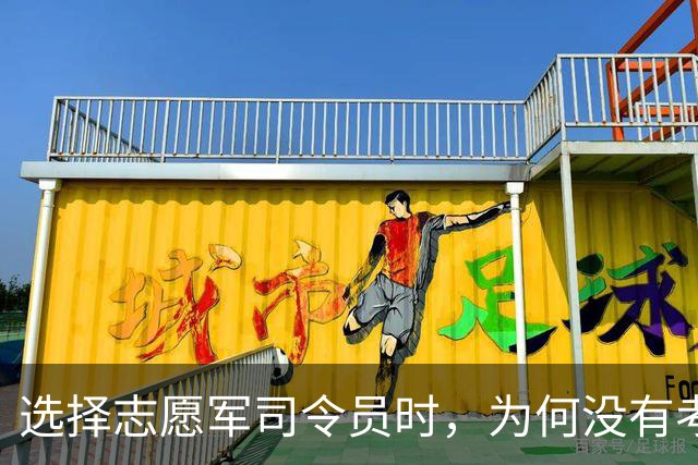 选择志愿军司令员时，为何没有考虑刘伯承？不是不用，是不能用！