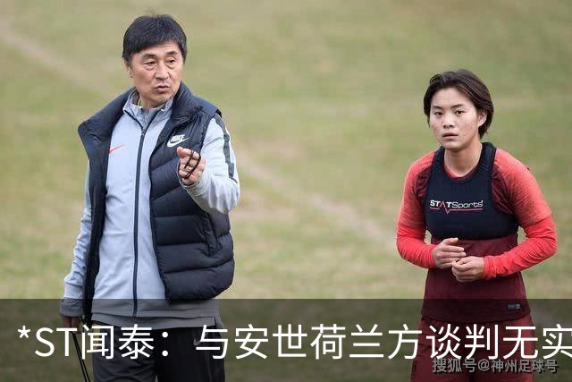 *ST闻泰：与安世荷兰方谈判无实质进展 存终止上市风险