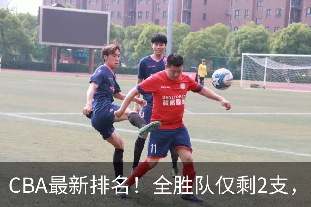 CBA最新排名！全胜队仅剩2支，辽宁北京抢第1，广东回前8，深圳青岛成倒数