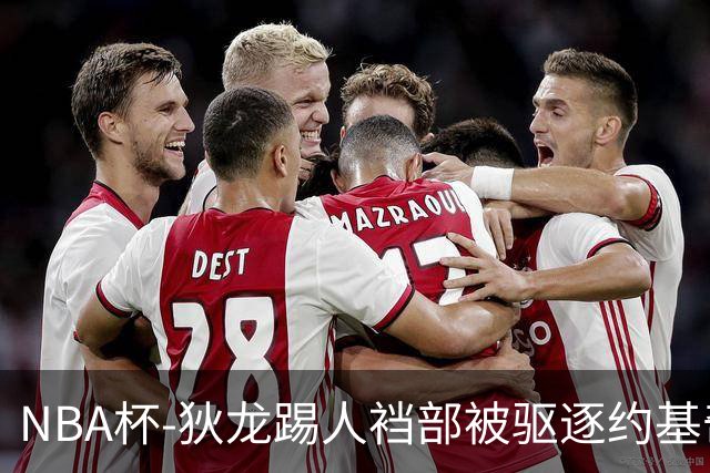 NBA杯-狄龙踢人裆部被驱逐约基奇18+10 掘金射落太阳